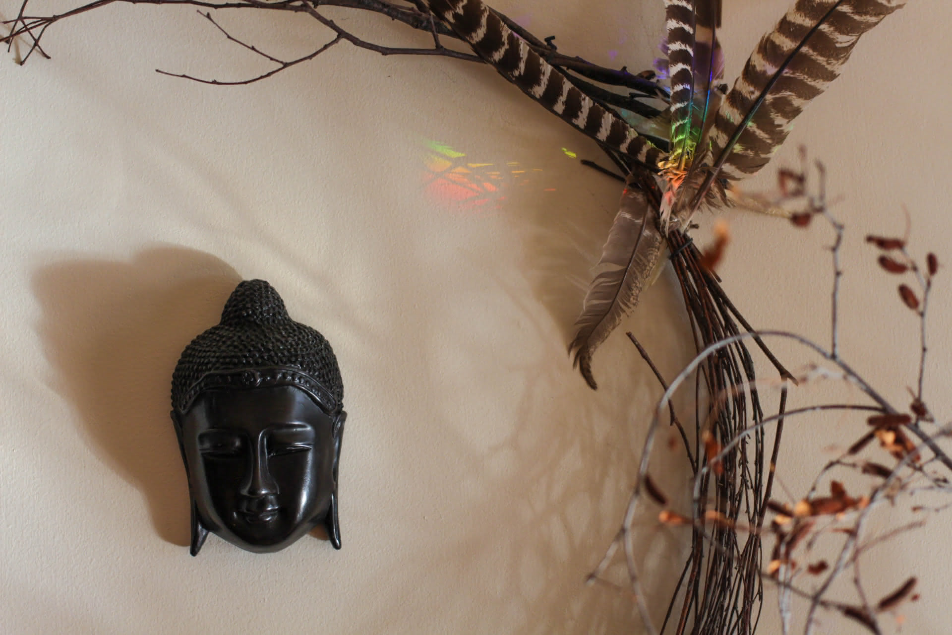 A black scuplted head of the Buddha encircled by a crescent of twigs, dried leaves, and feathers, with a patch of rainbow light casting a nest of shadows upon the wall.