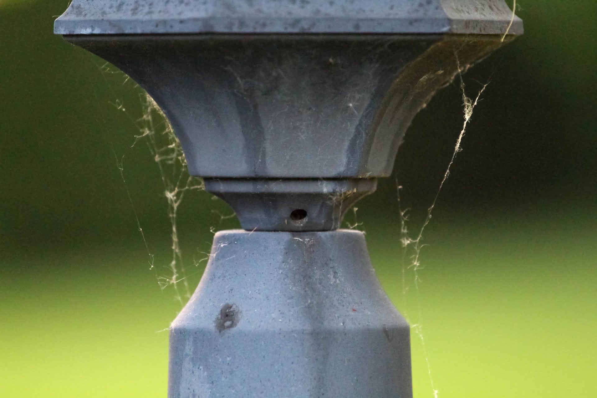 The joint of a lamppost wrapped in cobwebs fills the scene, with the background thrown out of focus to textured blurs of green and lime.