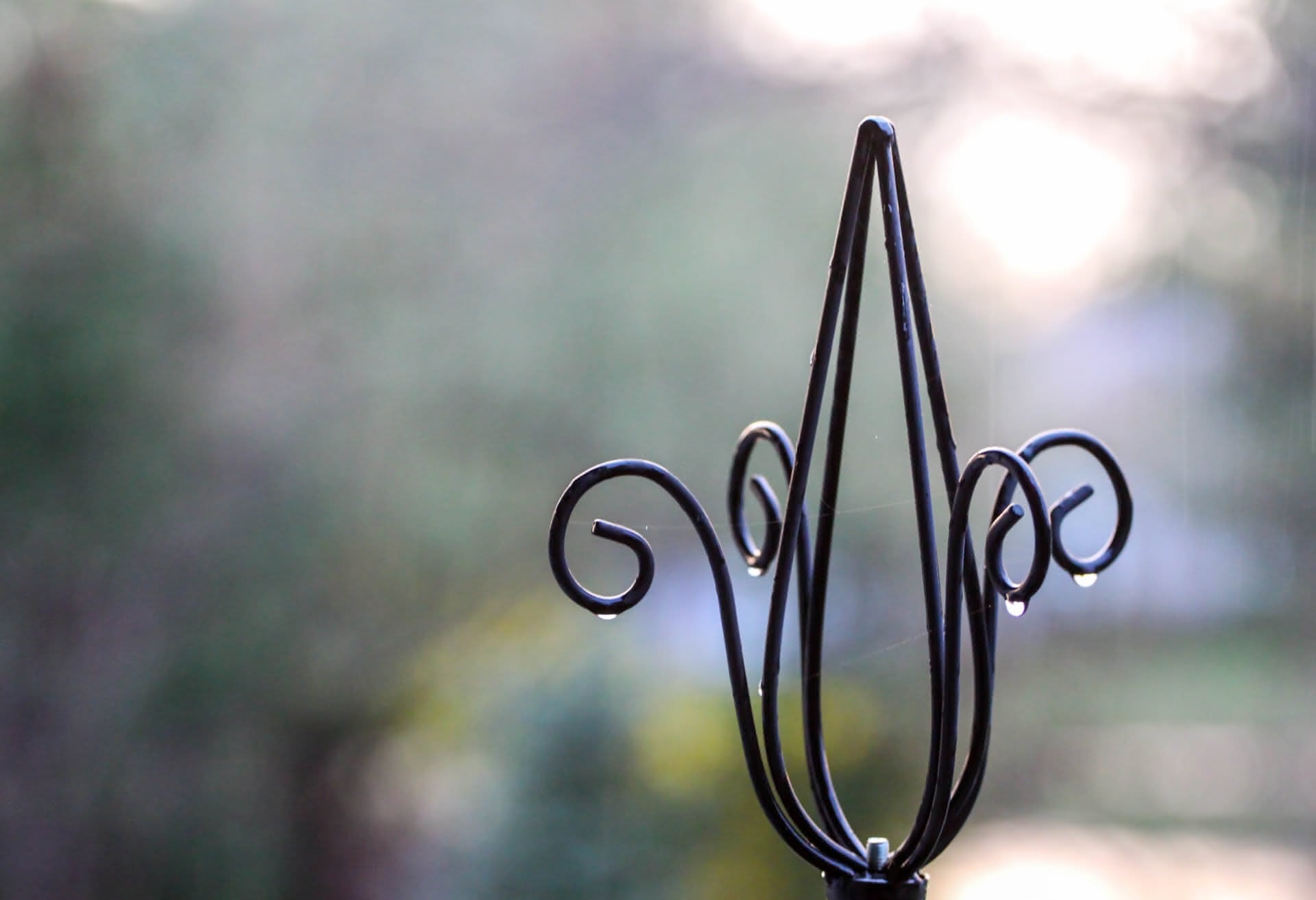 The wrought metal tip of some outdoor decoration. Strands of gossamer and droplets of dew hang off the spirals of black metal, while the background is a wash of soft natural colors.